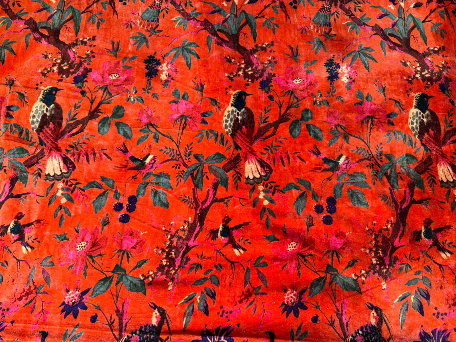 Orange Bird Cotton Velvet Fabric